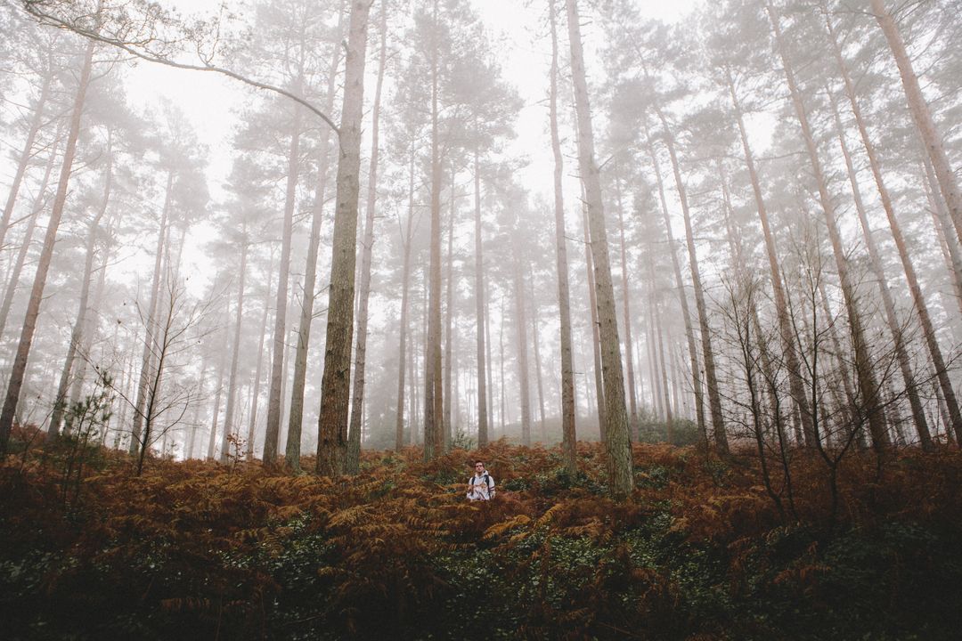 Couple Embracing in Misty Forest Clearing - Free Images, Stock Photos and Pictures on Pikwizard.com