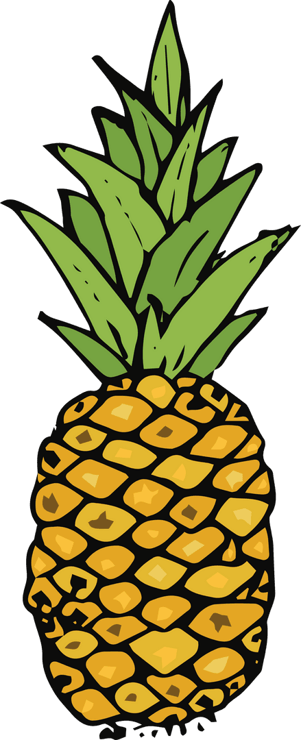 Transparent Hand-Drawn Illustration of Pineapple