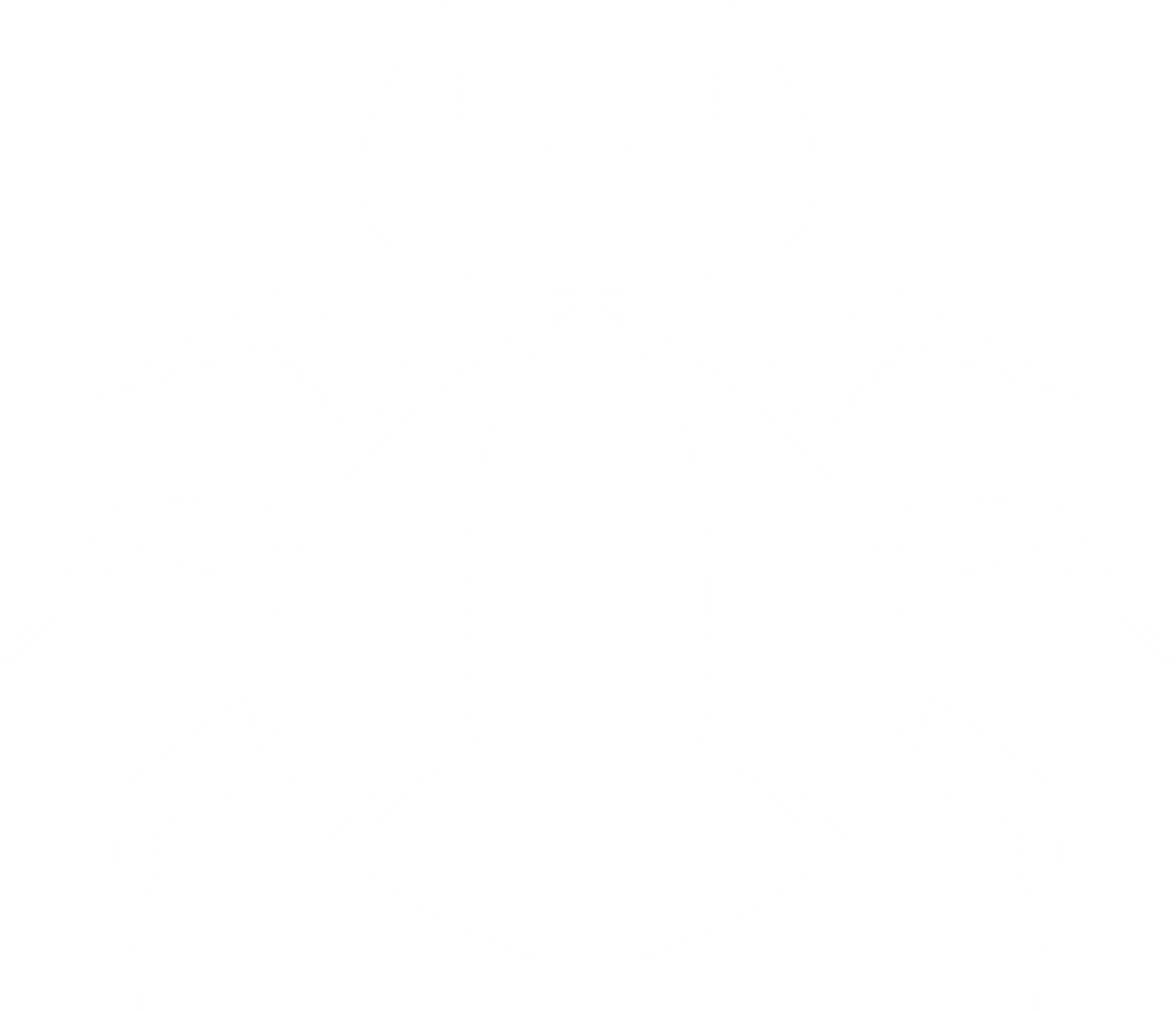 Transparent Insect Warning Icon in Flat Vector Design