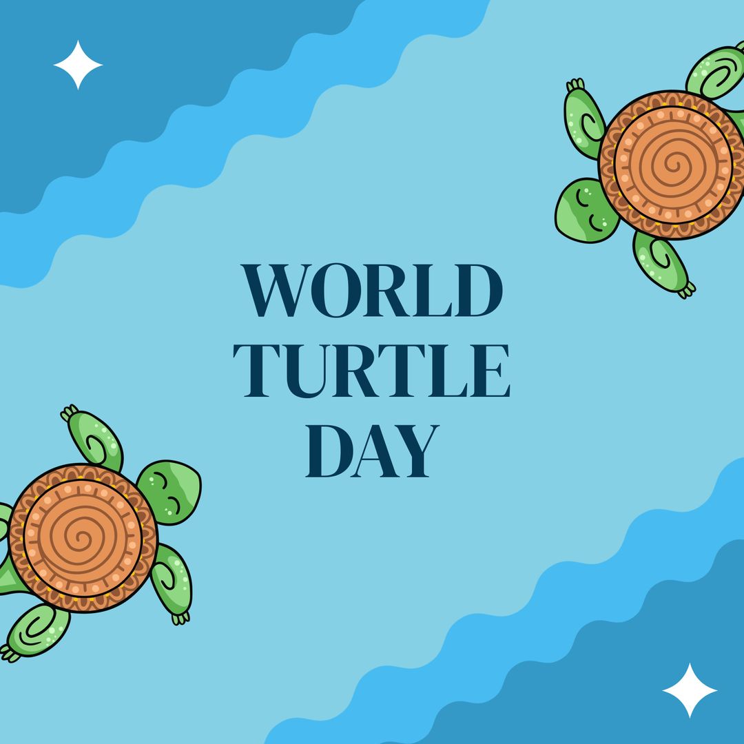 World Turtle Day Celebration Promotional Graphic with Turtles and Blue Background - Download Free Stock Templates Pikwizard.com