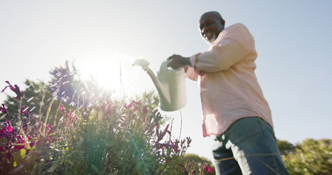 Senior African American Man Watering Garden Under Sunny Sky - Free Images, Stock Photos and Pictures on Pikwizard.com