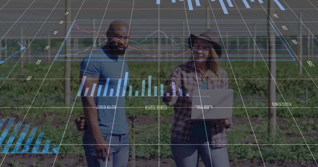 Precision Farming with Data Visualization in Vineyard