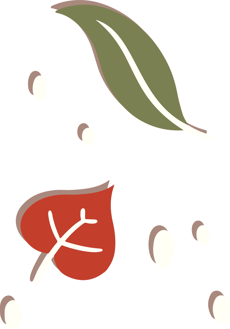 Minimalist Botanical Illustration with Leaves on Transparent Background