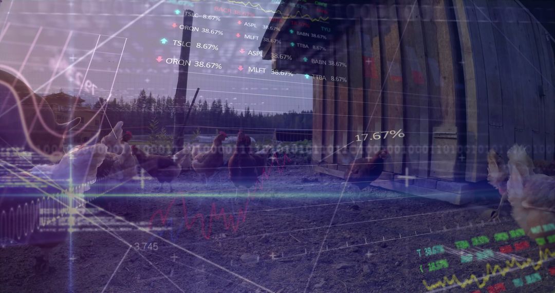Chickens Foraging by Coop with Transparency of Market Charts Overlaid
