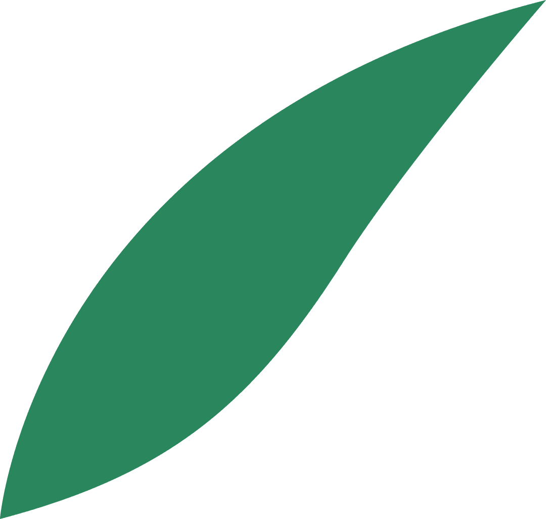 Transparent Green Leaf Illustration Isolated Vector Botany