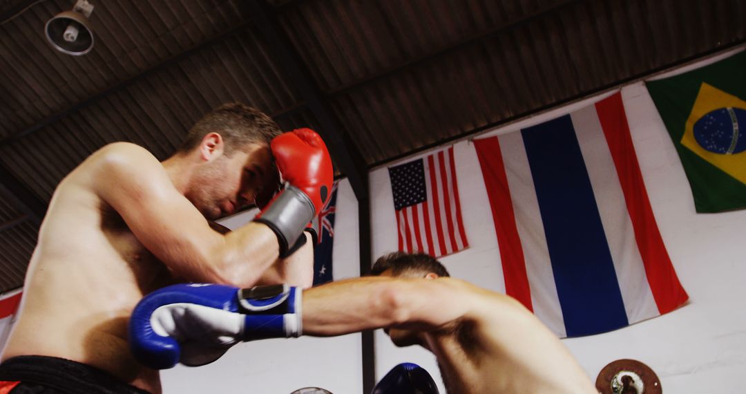 Two Boxers Sparring in Gym with International Flags - Free Images, Stock Photos and Pictures on Pikwizard.com