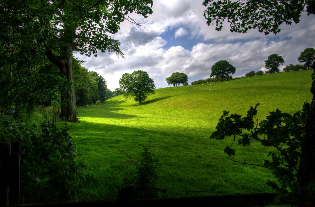 Lush Green Countryside with Rolling Hills and Trees - Free Images, Stock Photos and Pictures on Pikwizard.com