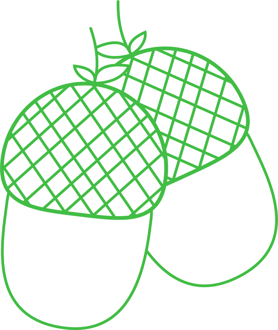 Green Acorns Digital Illustration on Transparent Background