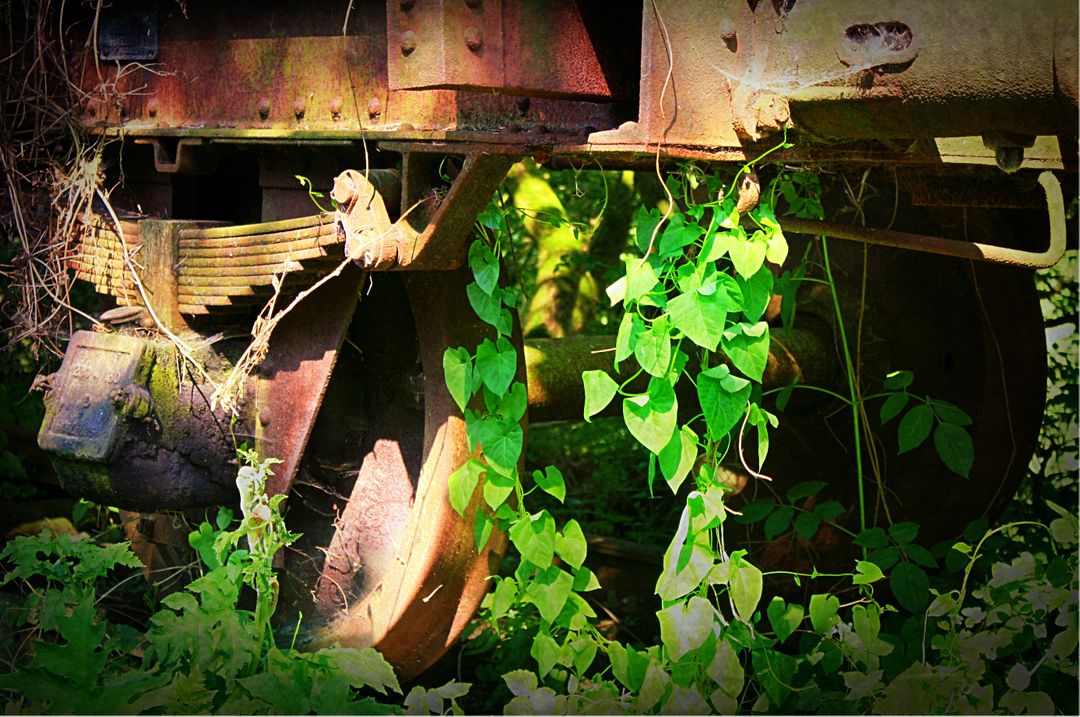 Abandoned Rusty Train Wheels Overtaken by Green Vegetation - Free Images, Stock Photos and Pictures on Pikwizard.com