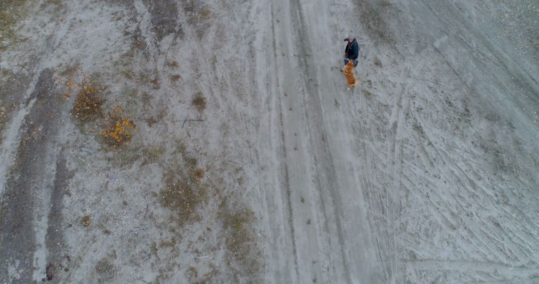 Aerial View of Person Walking Dog on Gravel Road - Free Images, Stock Photos and Pictures on Pikwizard.com