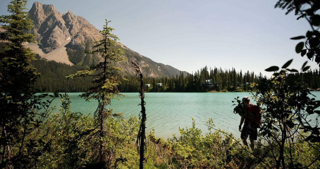 Hiker in Scenic Mountain Landscape by Pristine Lake - Free Images, Stock Photos and Pictures on Pikwizard.com