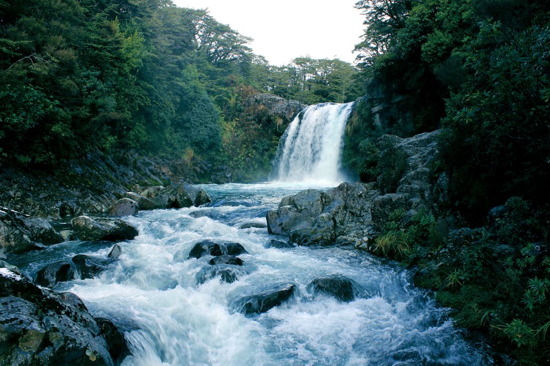 Majestic Waterfall Flowing Over Rocky Cliff in Lush Forest - Free Images, Stock Photos and Pictures on Pikwizard.com