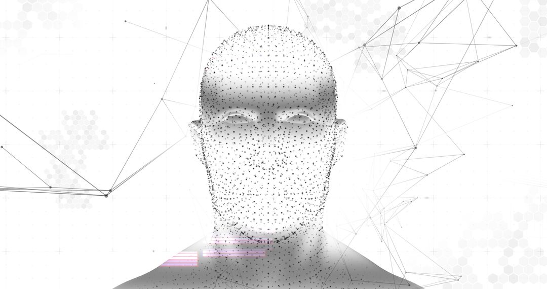 3D Human Head Model with Digital Network Connections