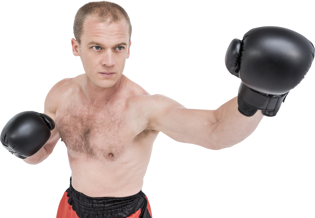 Determined Boxer in Gloves Performing Strong Boxing Stance - Transparent - Download Free Stock Images Pikwizard.com