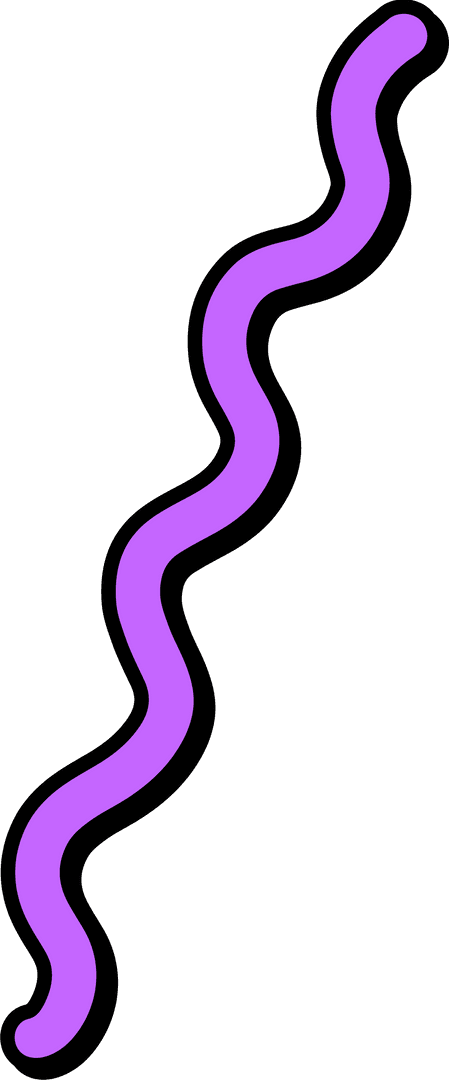 Curved Purple Wavy Line with Black Outline on Transparent Background