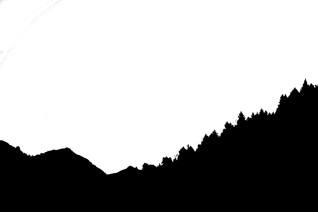 Transparent Black Forest Illustration Vector Art