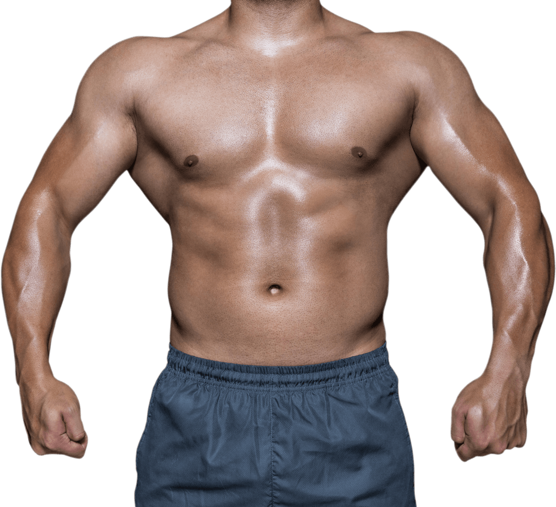 Transparent Muscular Bodybuilder Torso with Flexed Arms