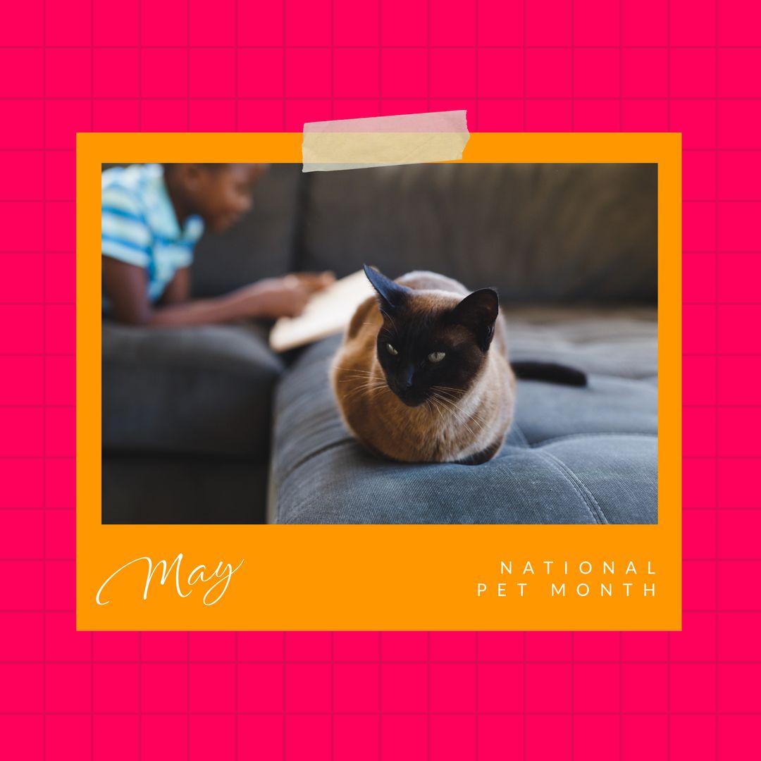 National Pet Month Celebration with Cozy Siamese Cat