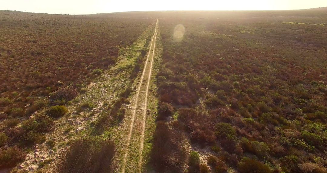 Remote Desert Road Through Arid Landscape at Sunset - Free Images, Stock Photos and Pictures on Pikwizard.com