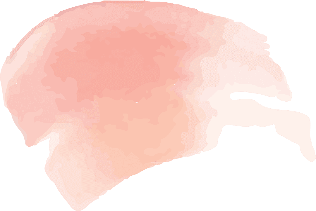 Transparent Abstract Pink Watercolor Brush Stroke