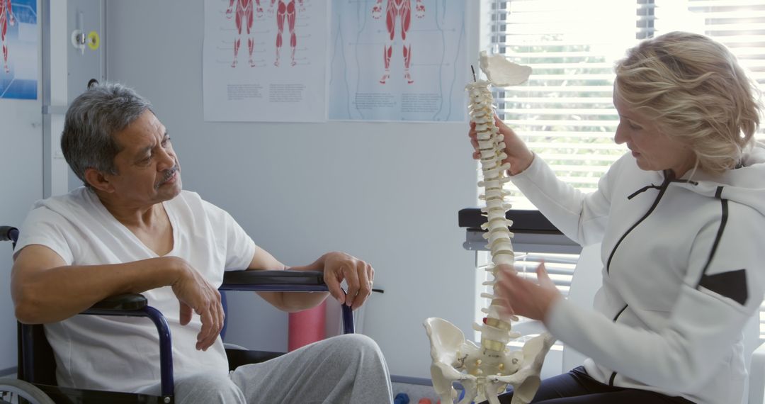 Senior Man in Wheelchair Consulting with Physiotherapist Showing Spine Model - Free Images, Stock Photos and Pictures on Pikwizard.com