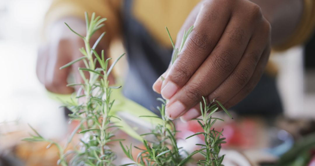 Close-up of Person Picking Fresh Herbs in Kitchen - Free Images, Stock Photos and Pictures on Pikwizard.com