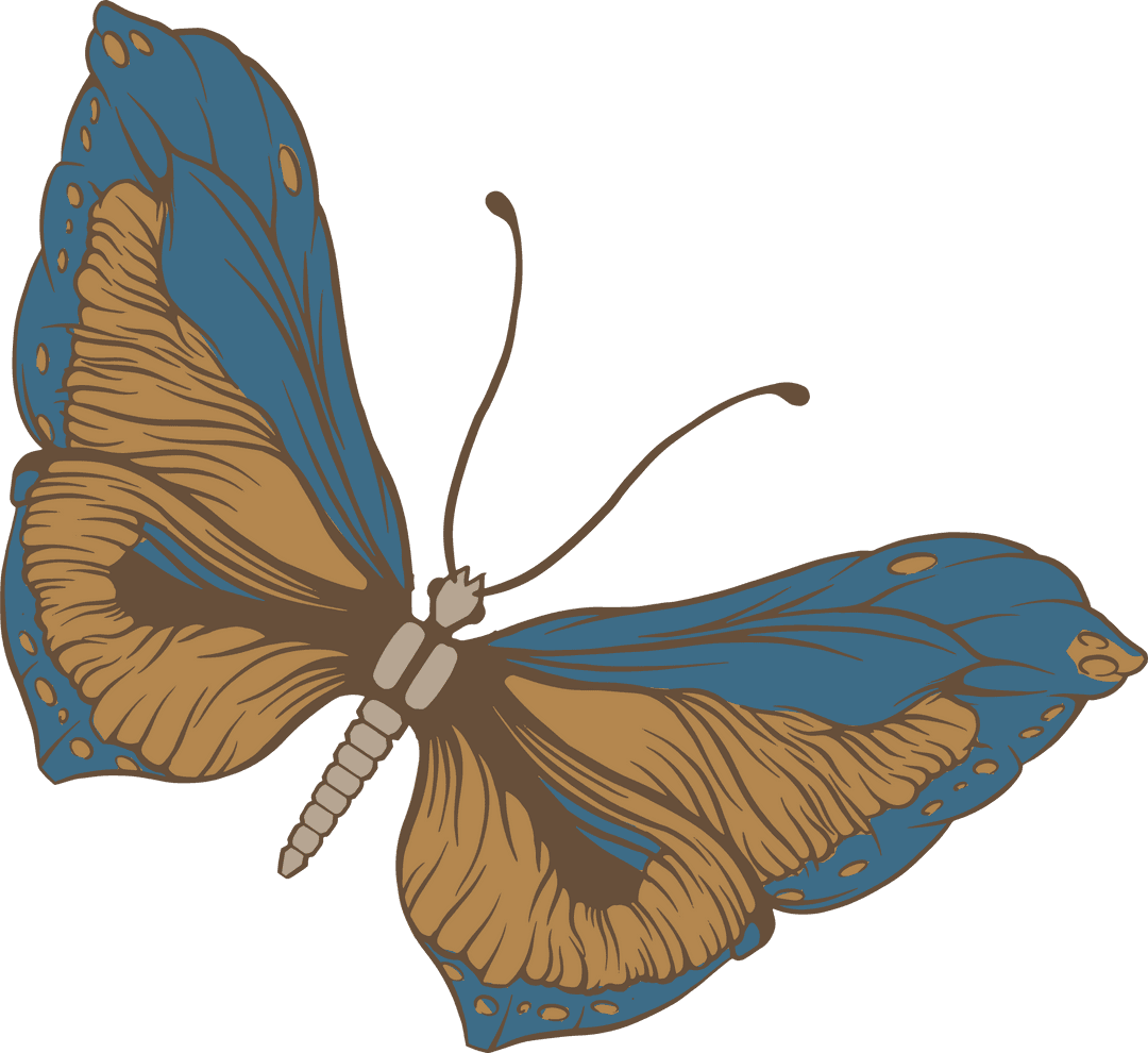 Colorful Butterfly with Blue and Orange Wings Transparent Background