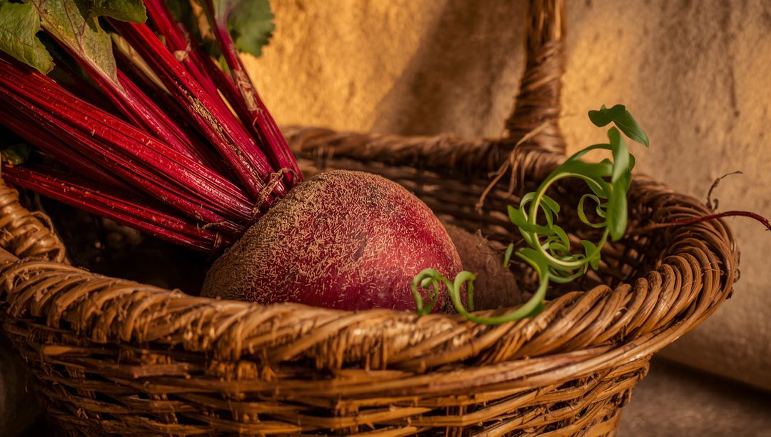 Fresh Organic Beet in Rustic Wicker Basket with Soil and Greenery