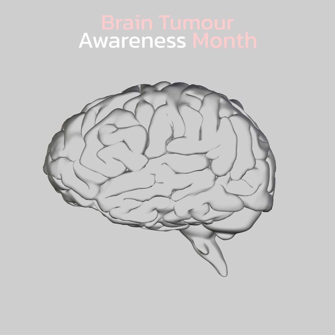 Brain Tumour Awareness Educational 3D Brain Render