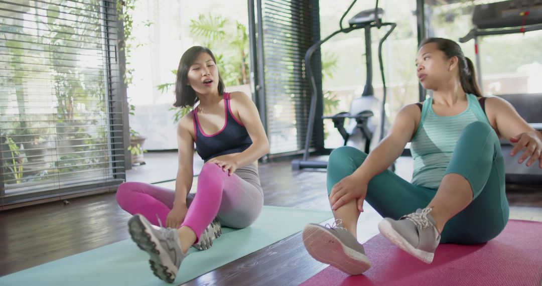 Two Women Exercising Together Indoors on Yoga Mats - Free Images, Stock Photos and Pictures on Pikwizard.com