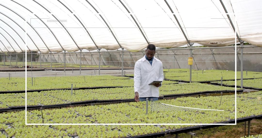 Engineer Innovating Advanced Methods in Modern Greenhouse