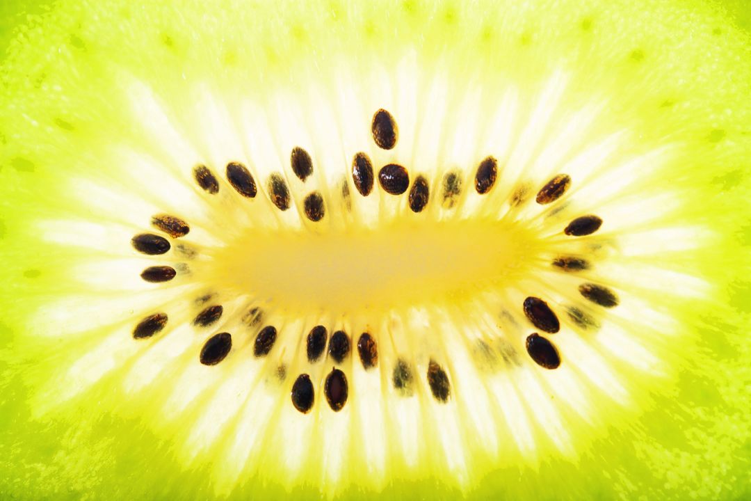 Close-up of Fresh Kiwi Slice Showing Texture and Seeds - Free Images, Stock Photos and Pictures on Pikwizard.com