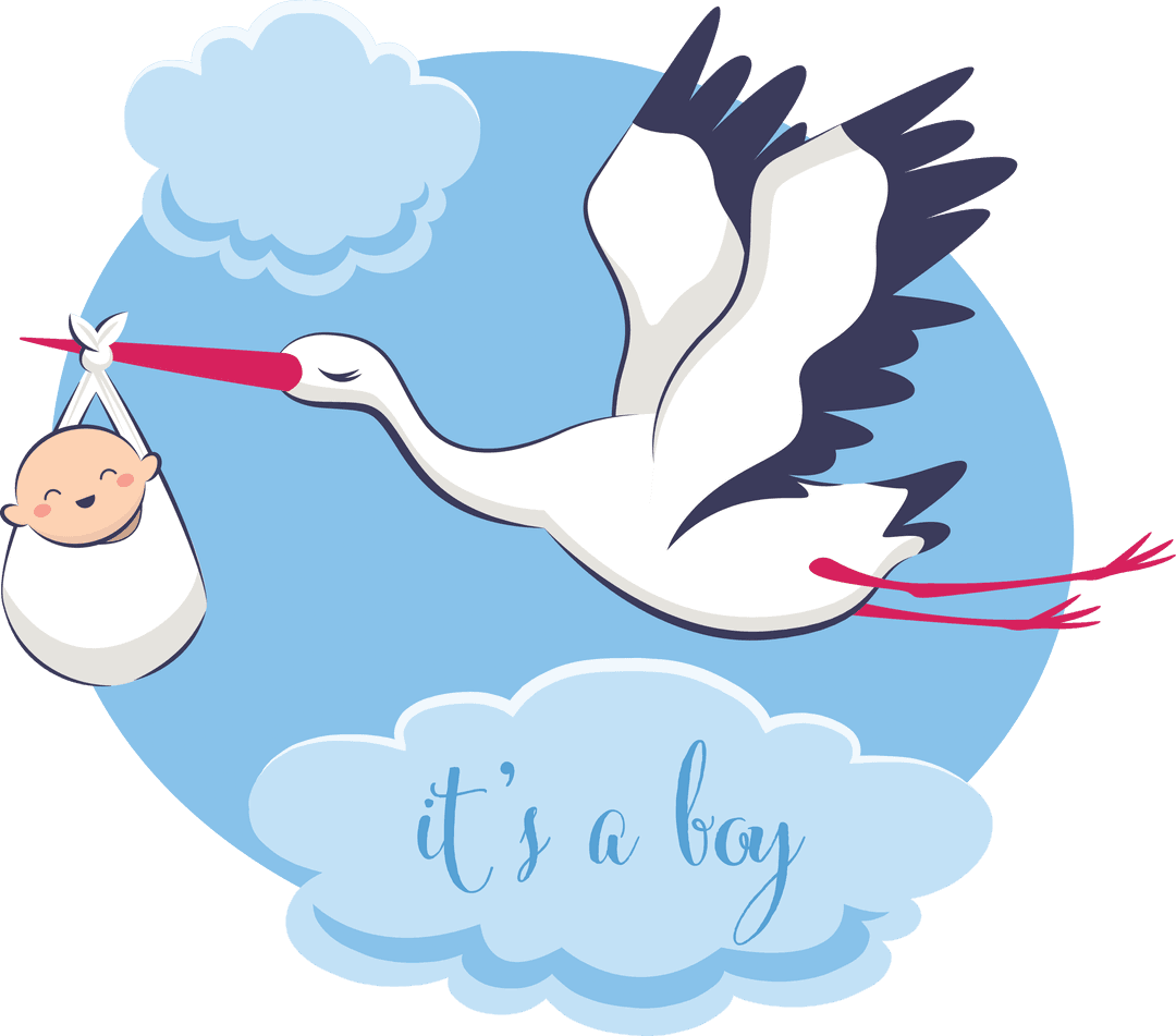 Stork Delivery Boy Announcement with Transparent Background