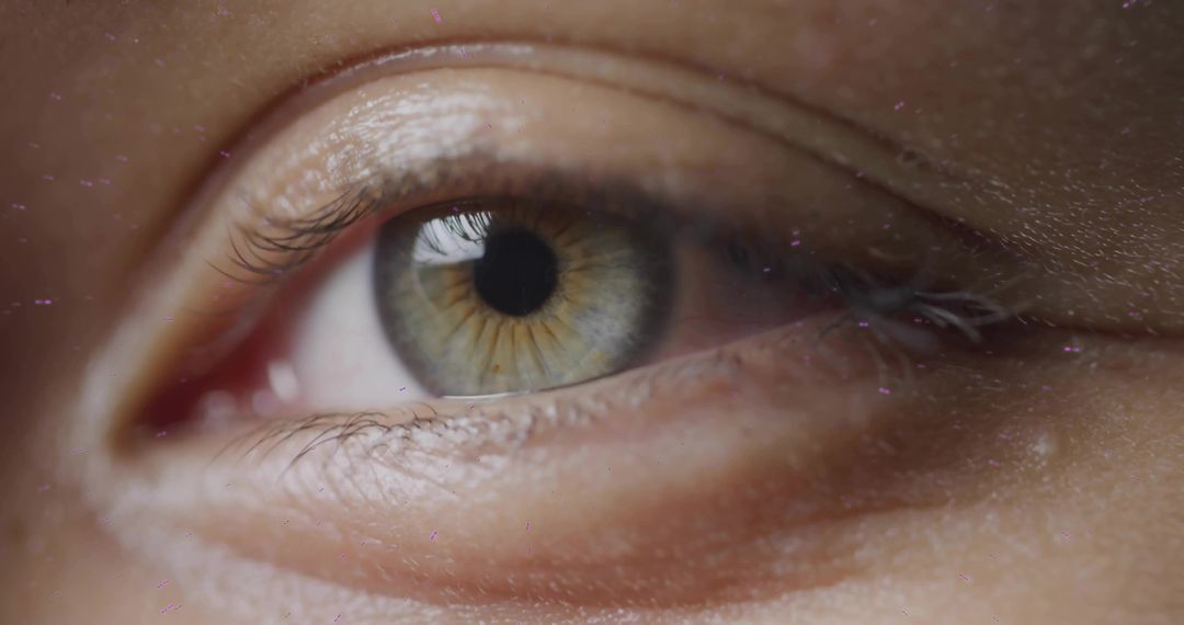 Close-Up of Hazel Eye with Detailed Iris and Soft Reflection