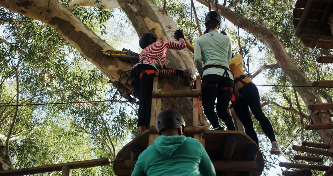 Diverse Group Enjoys Tree Climbing Adventure Together
