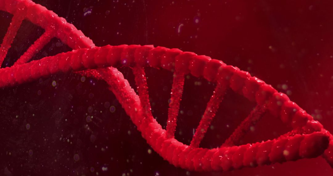 Digital Data Interacting with Red DNA Strand in Abstract Space