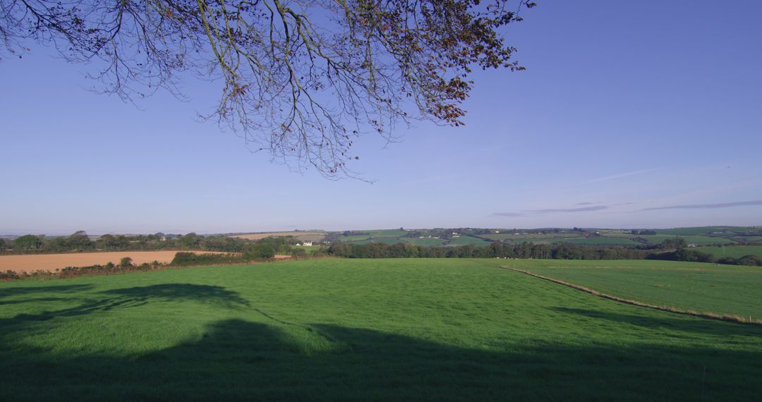 Tranquil Countryside Scene with Blue Sky