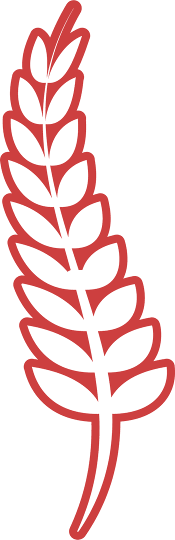 Red Wheat Ear Illustration on Transparent Background