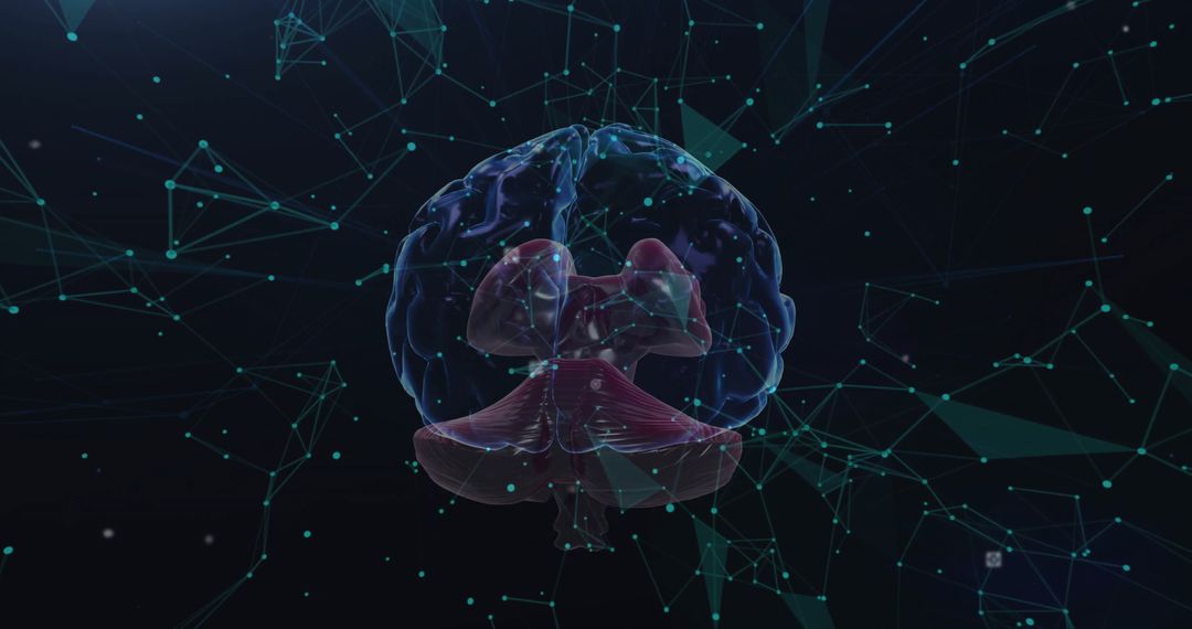 Digital Data Network Overlaying Human Brain Hologram