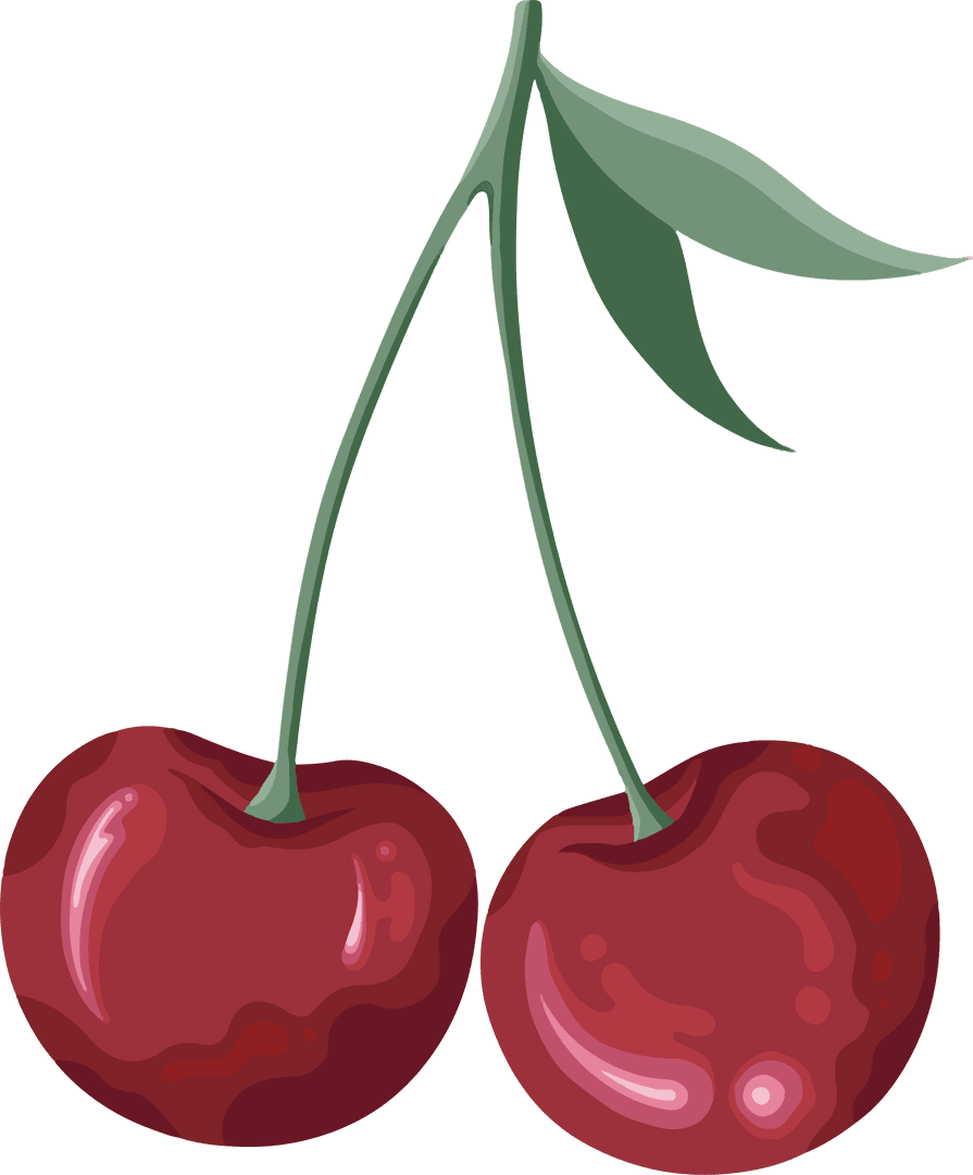 Transparent Background Vibrant Red Cherry Pair with Green Stems