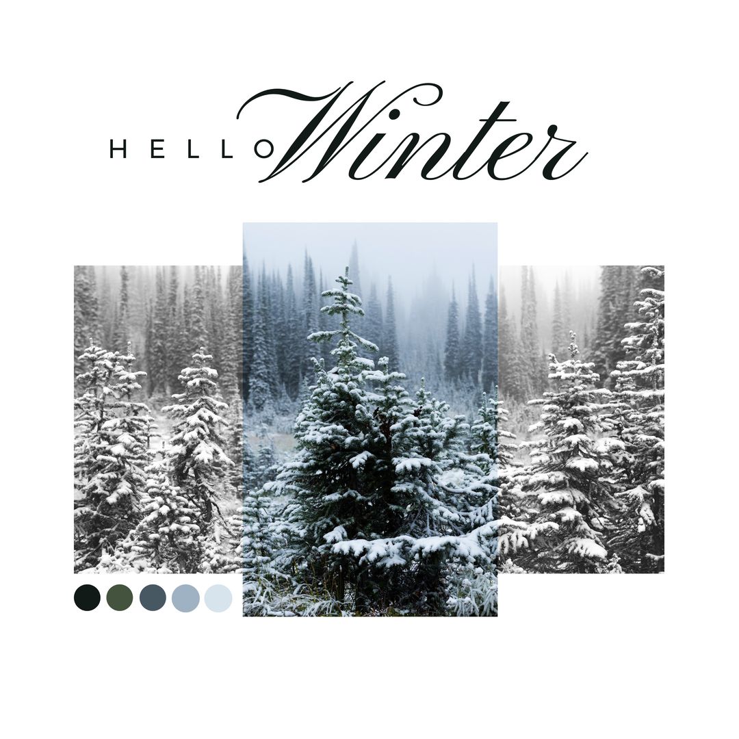 Composite of hello winter text and view of snow covered pine trees in forest, copy space - Download Free Stock Templates Pikwizard.com