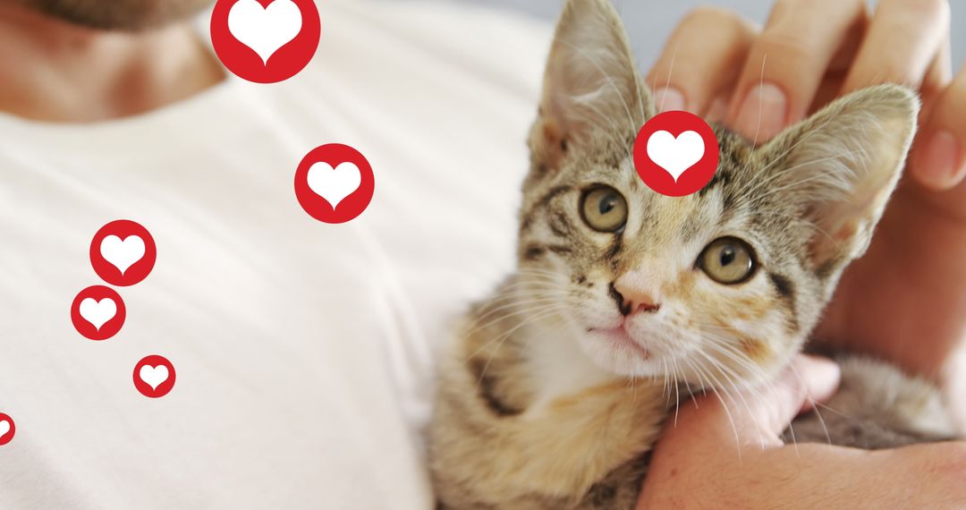 Bonding with Kitten on National Adopt a Shelter Pet Day