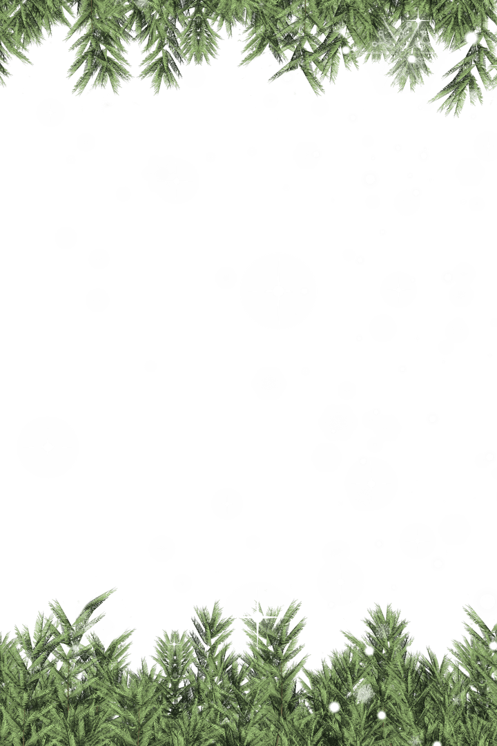 Transparent Background with Pine Tree Branches and Snowflakes - Download Free Stock Images Pikwizard.com