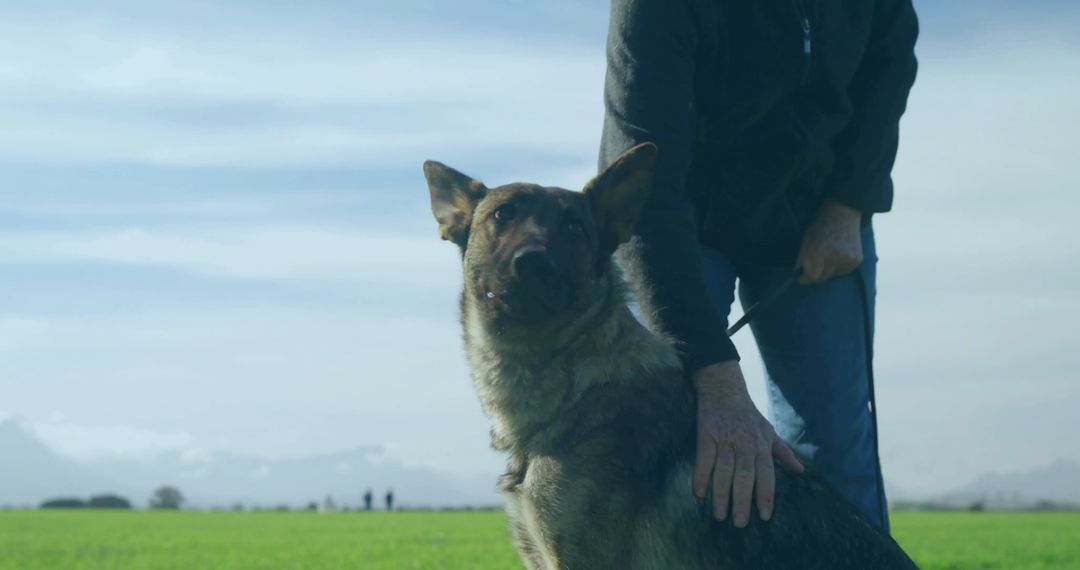 German Shepherd sitting beside owner on expansive green meadow with distant mountains