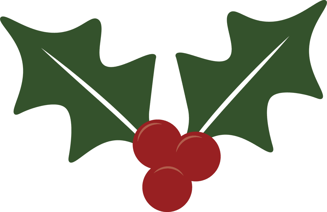 Traditional Christmas Holly with Red Berries Transparent Illustration