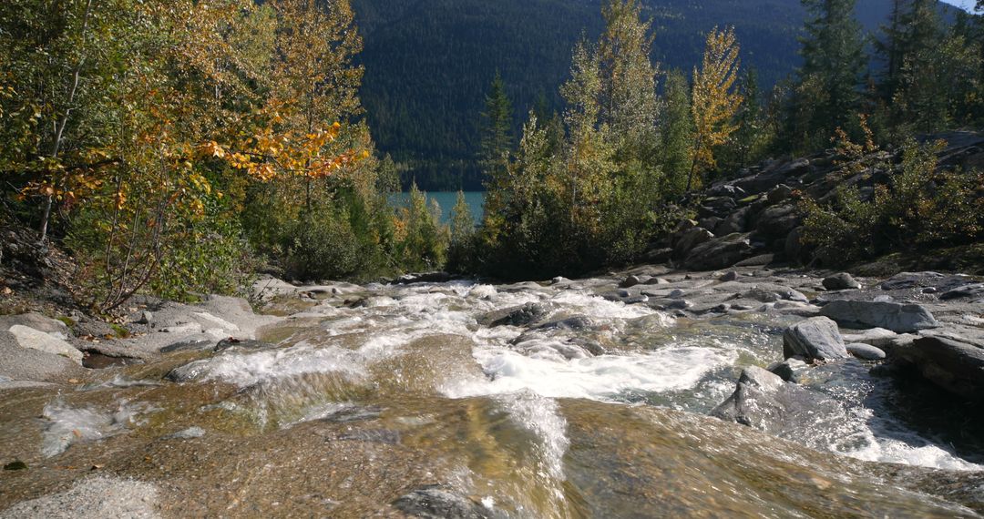 A clear mountain stream flows over rocks with autumn foliage and a serene lake in the background - Free Images, Stock Photos and Pictures on Pikwizard.com