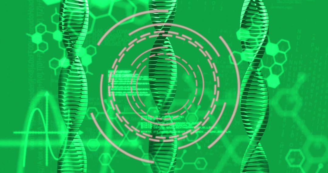Digital Interface with DNA Strands and Scope Elements