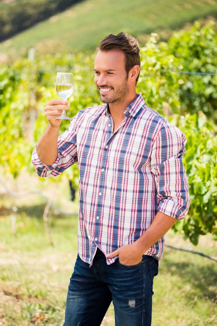 Smiling Man Holding Wineglass in Vineyard on Sunny Day - Free Images, Stock Photos and Pictures on Pikwizard.com