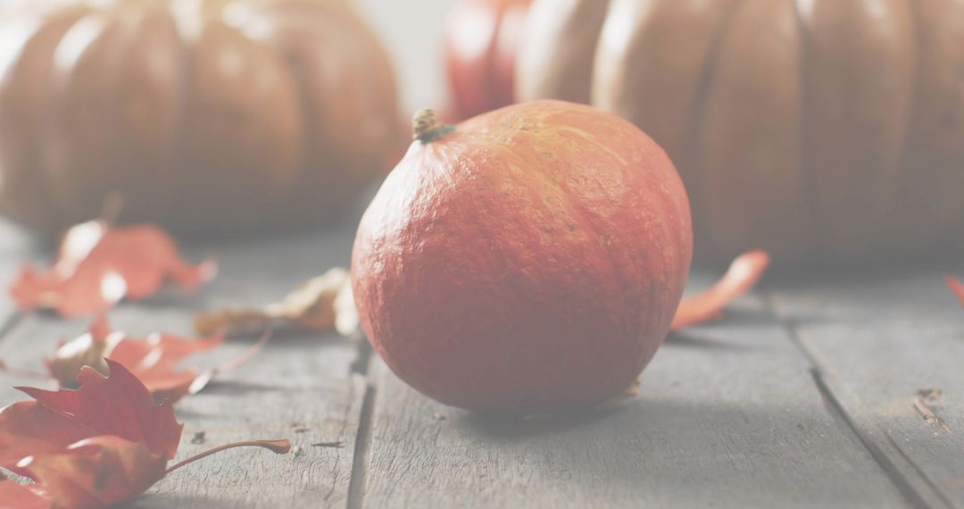 Rustic Autumn Pumpkin on Weathered Wood with Fallen Leaves and Soft Bokeh Light