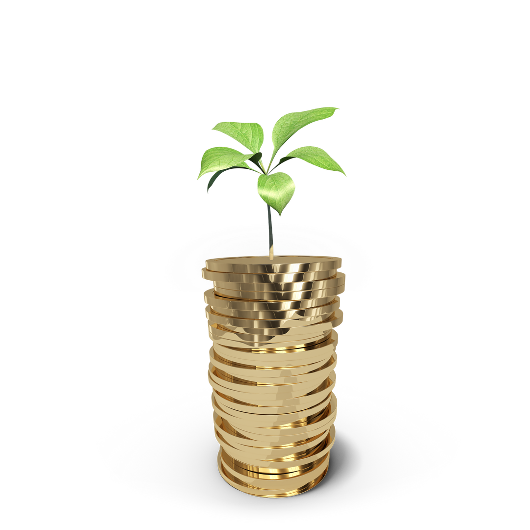 Transparent Growth Concept: Green Plant Growing on Stack of Gold Coins - Download Free Stock Images Pikwizard.com